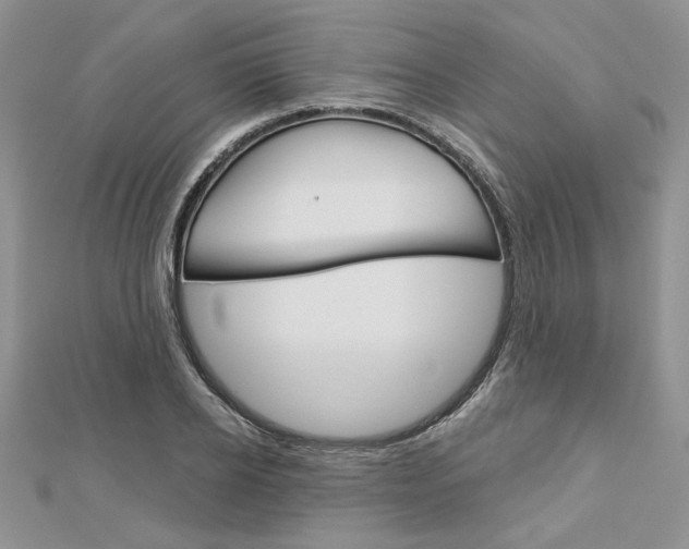 X0000113060934200908280944