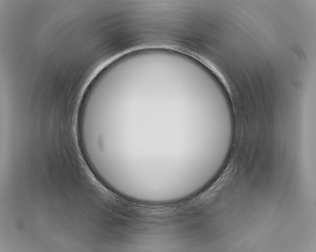 X0000113060935200908280944
