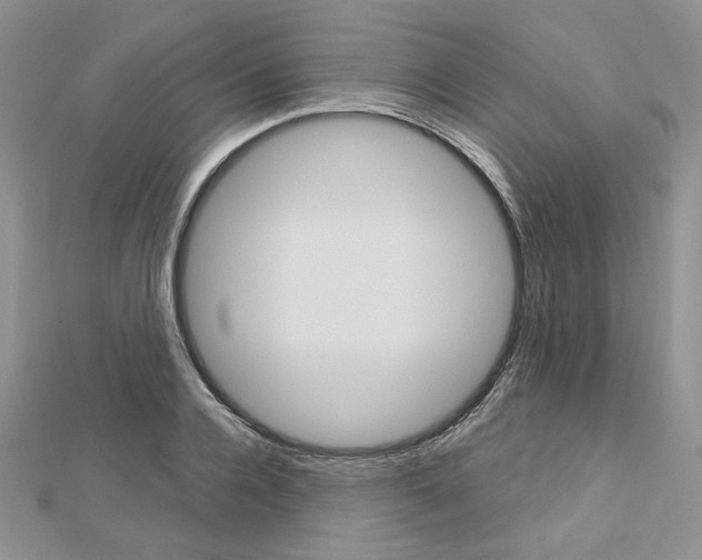 X0000113060936200908280944