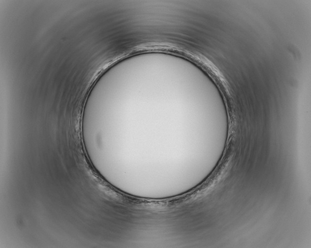 X0000113060937200908280944