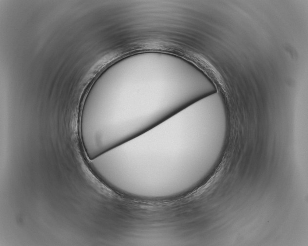 X0000113060938200908280944