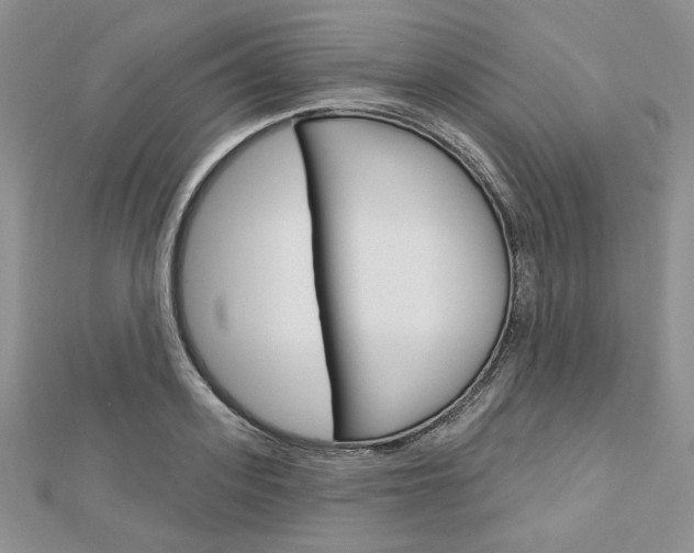 X0000113060939200908280944