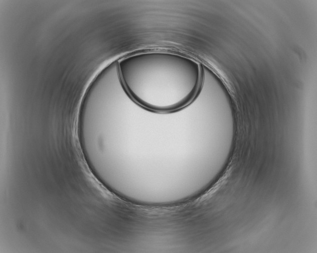 X0000113060940200908280944