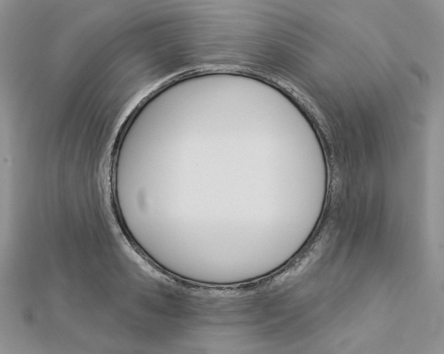 X0000113060941200908280944