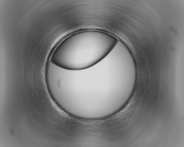 X0000113060942200908280944