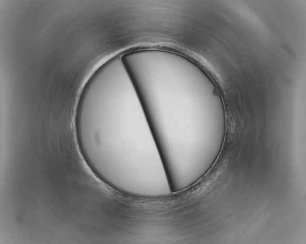 X0000113060943200908280944