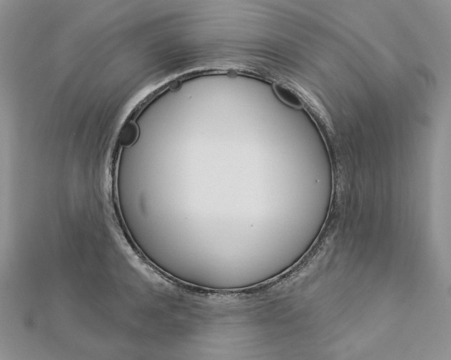 X0000113060944200908280944