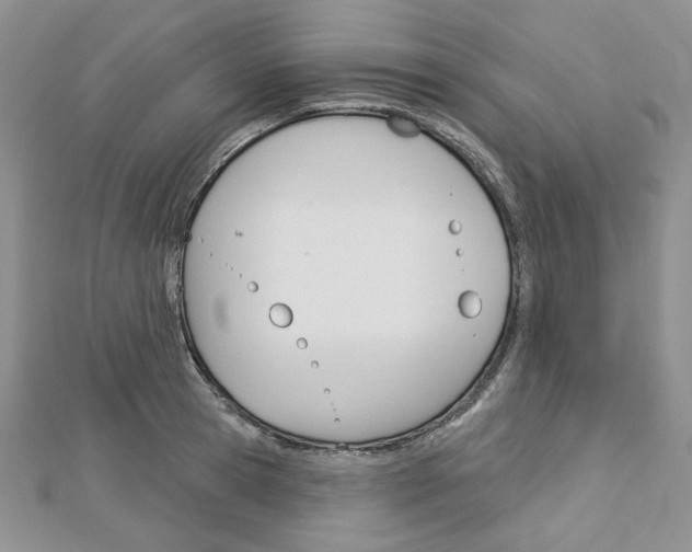 X0000113060945200908280944
