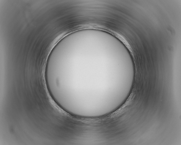 X0000113060946200908280944