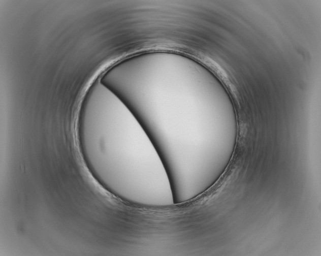 X0000113060947200908280944
