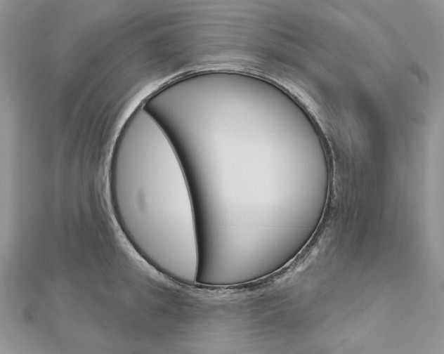X0000113060949200908280944