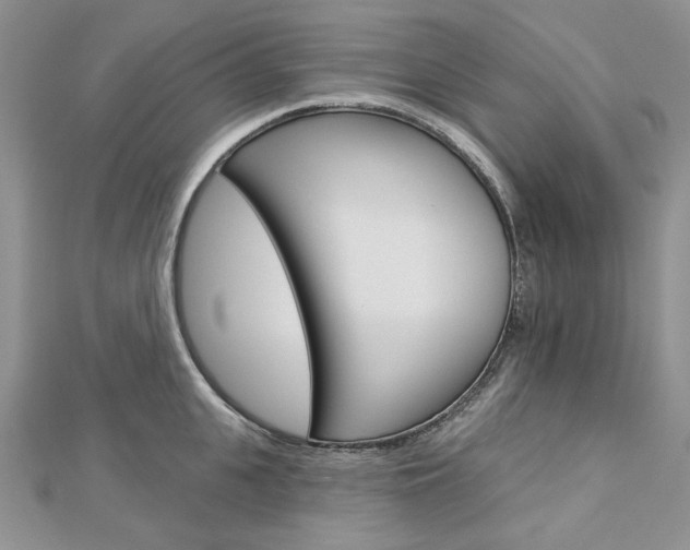 X0000113060951200908280944