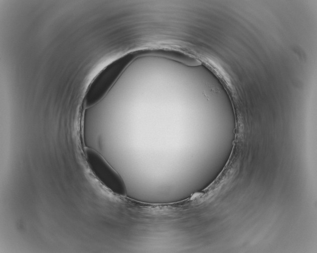 X0000113060952200908280944