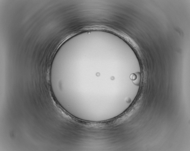 X0000113060953200908280944