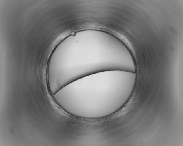 X0000113060954200908280944