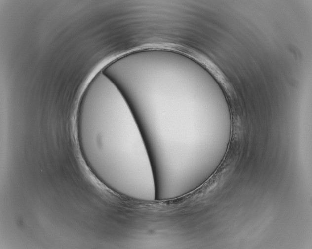 X0000113060955200908280944