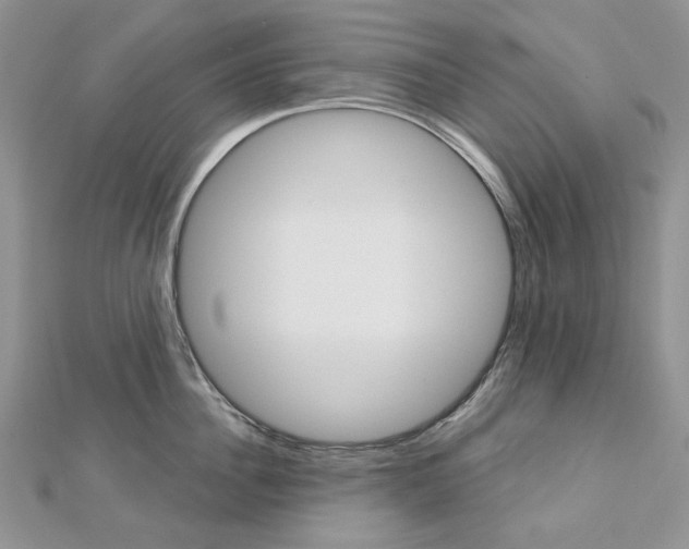 X0000113060956200908280944