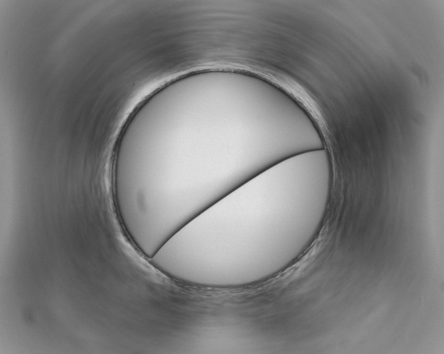 X0000113060958200908280944
