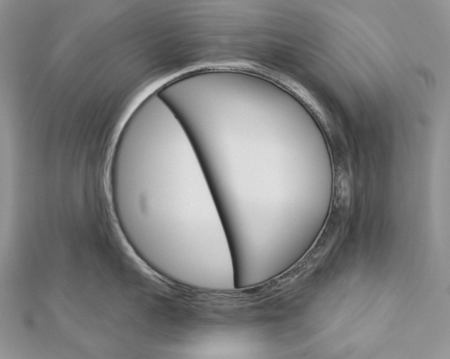X0000113060959200908280944