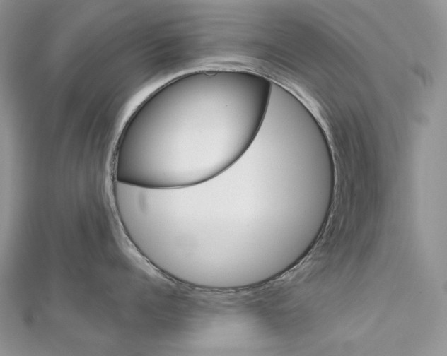 X0000113060960200908280944