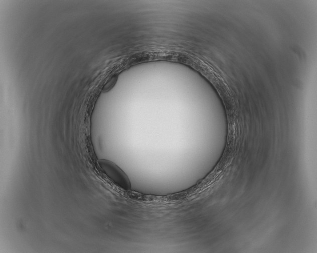 X0000113060961200908280944