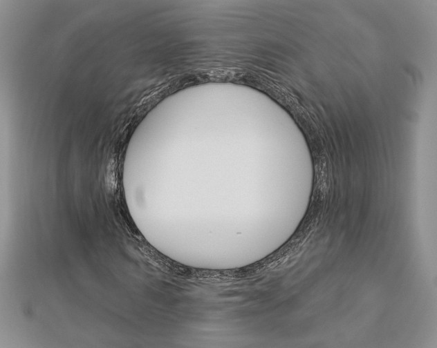 X0000113060962200908280944