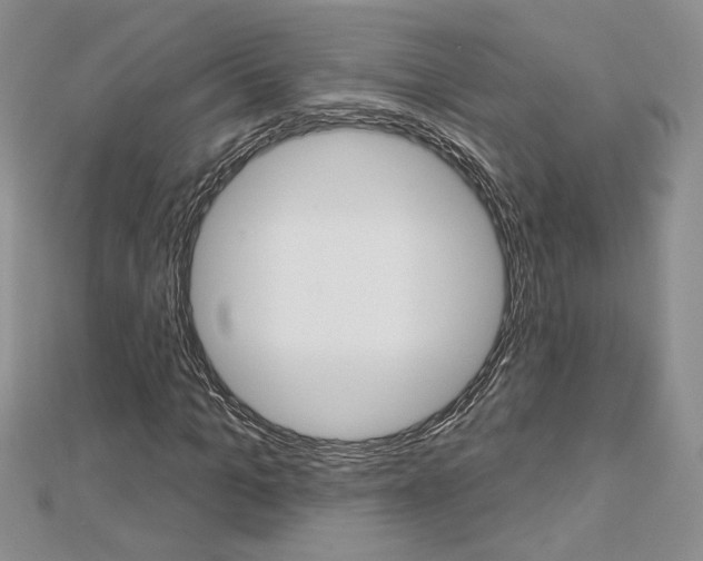 X0000113060965200908280944