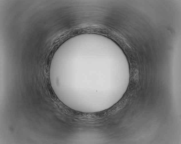 X0000113060966200908280944
