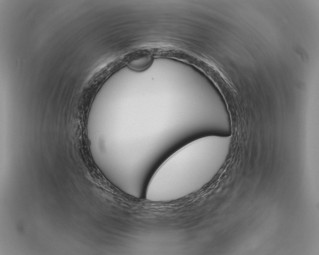 X0000113060967200908280944