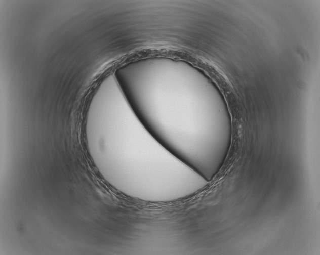 X0000113060968200908280944