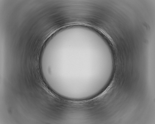 X0000113060969200908280944