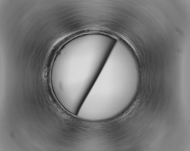X0000113060971200908280944