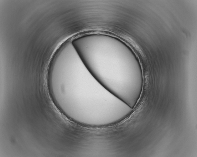 X0000113060972200908280944