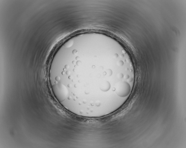 X0000113060974200908280944