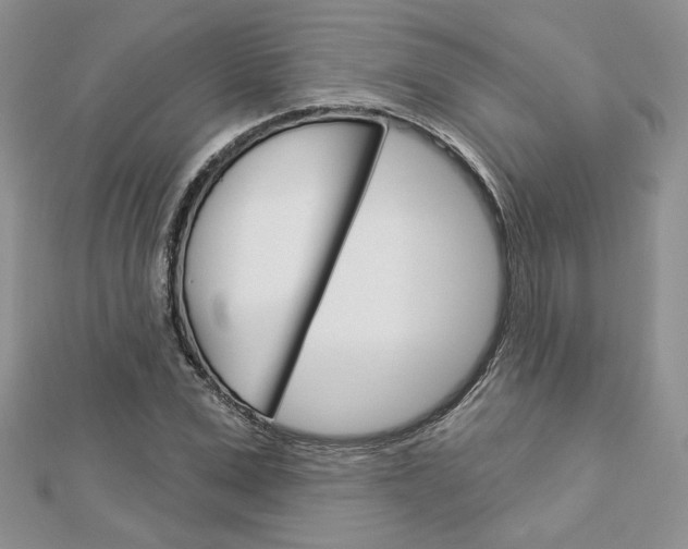 X0000113060975200908280943