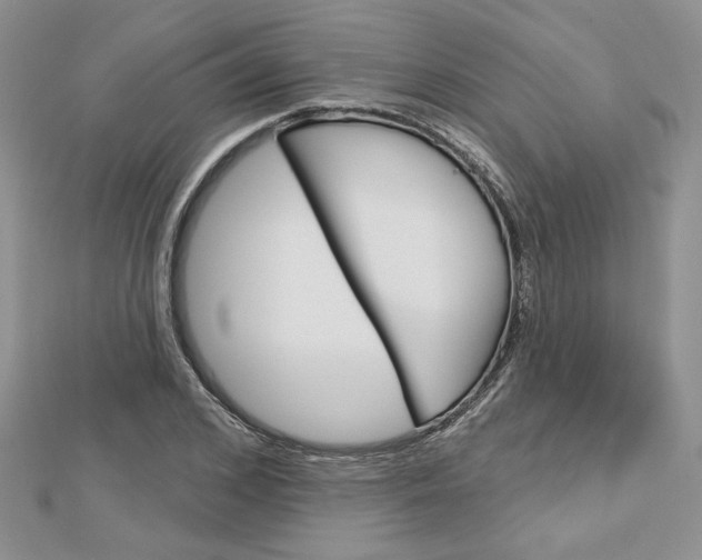 X0000113060976200908280943