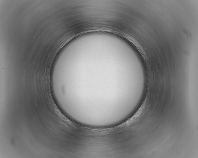 X0000113060977200908280943