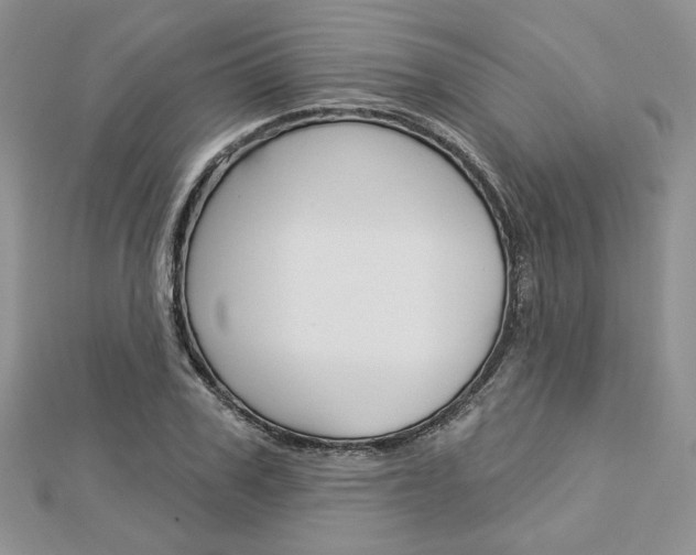 X0000113060979200908280943