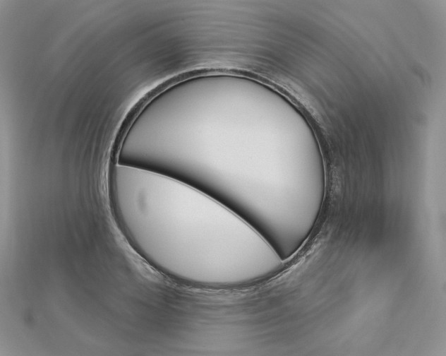 X0000113060980200908280943