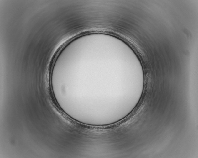 X0000113060982200908280943