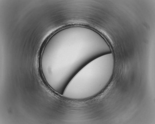 X0000113060983200908280943