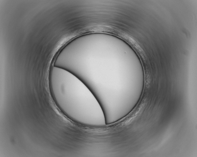 X0000113060986200908280943