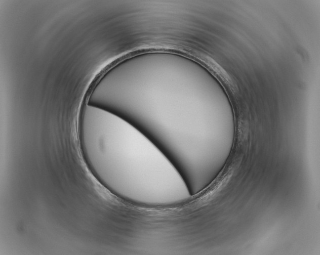 X0000113060988200908280943