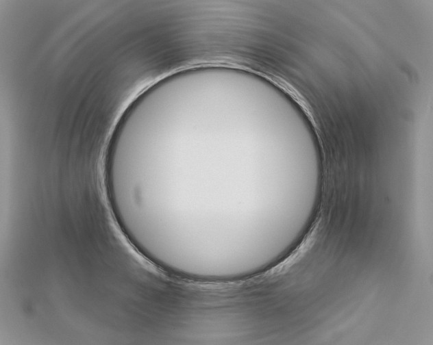 X0000113060989200908280943