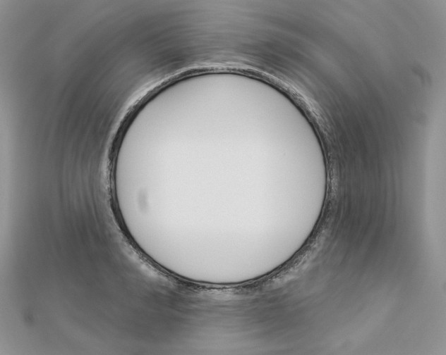 X0000113060990200908280943