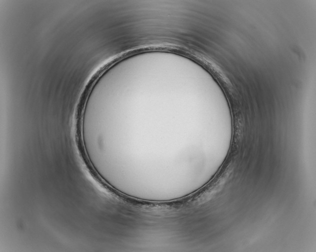 X0000113060991200908280943