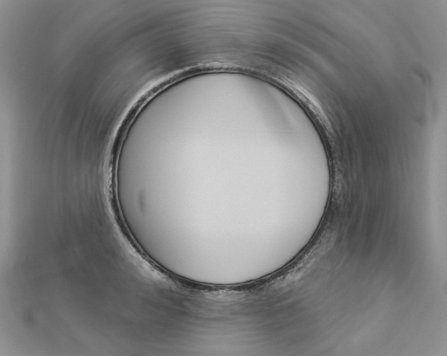 X0000113060992200908280943
