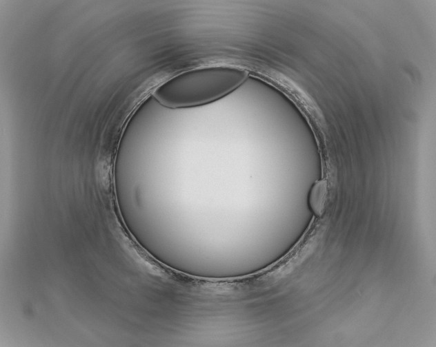X0000113060993200908280943