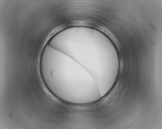 X0000113060994200908280943