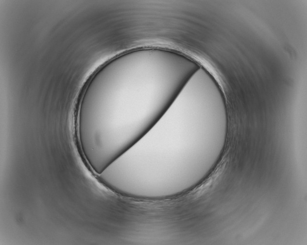 X0000113060999200908280943